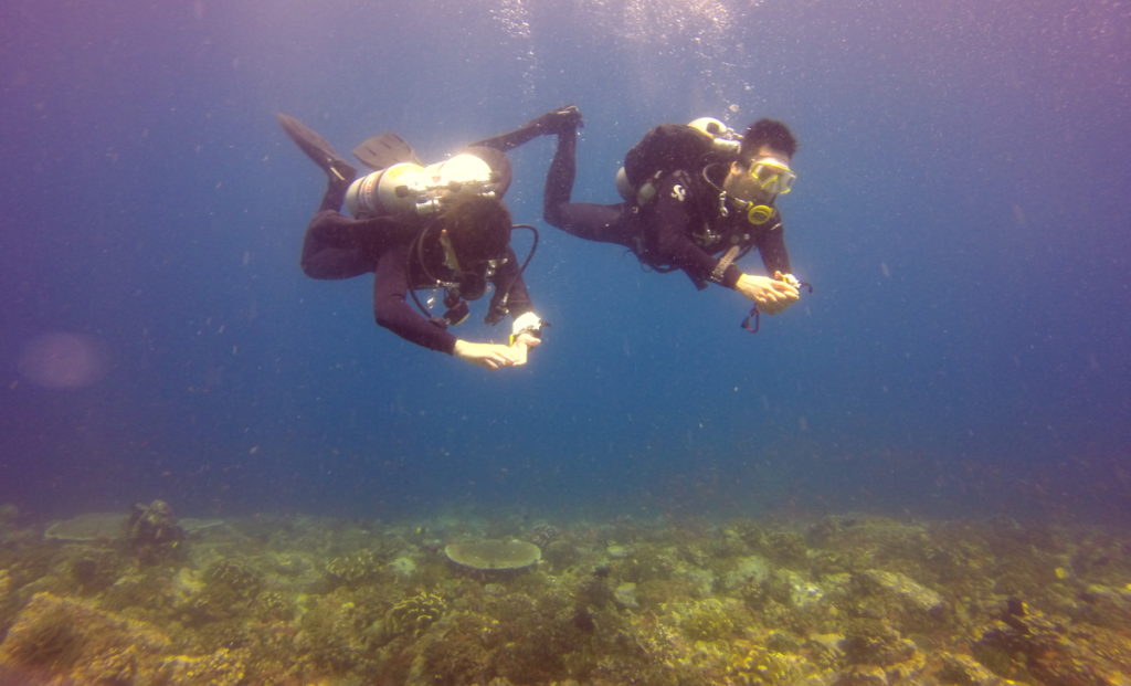 TDI advanced nitrox diver course Philippines