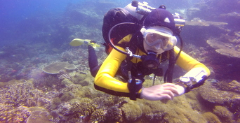 Discover technical diving |Intro to Tech |Bohol Philippines