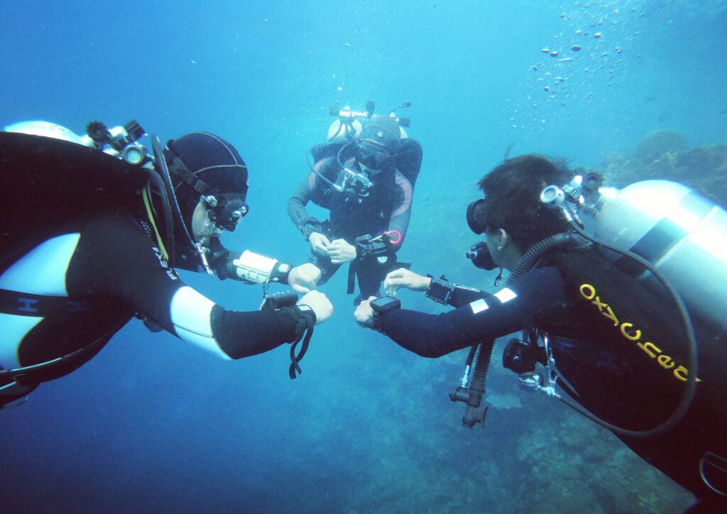 TDI Instructor courses