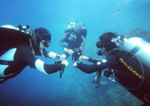 TDI Instructor courses