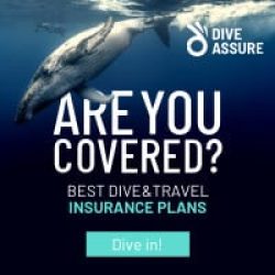 200x200 dive assure web banner