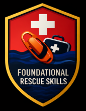 ERDI foundational skills shield
