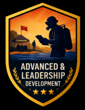 ERDI II and Supervisor shield